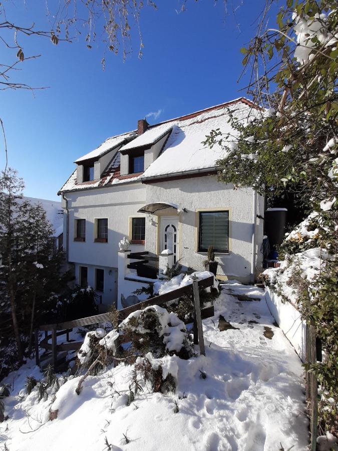 Ferienhaus Elbsommer Am Weinberg II Meissen Exterior photo